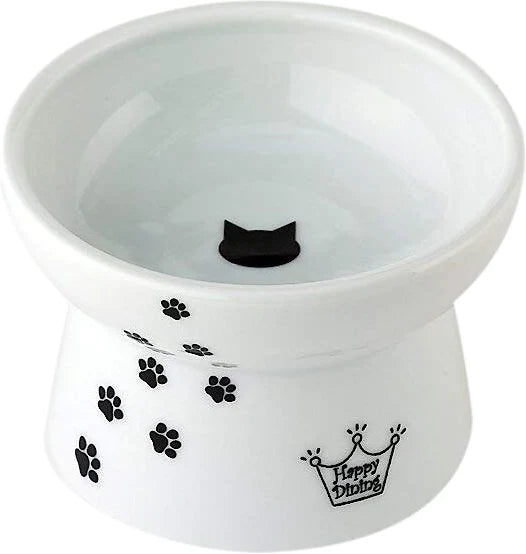 Ceramic Elevated Cat Food & Water Bowl Set