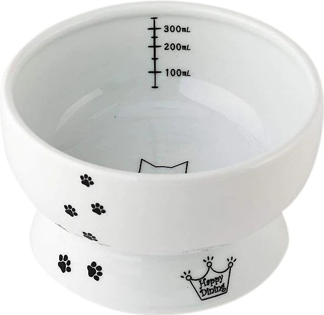 Ceramic Elevated Cat Food & Water Bowl Set