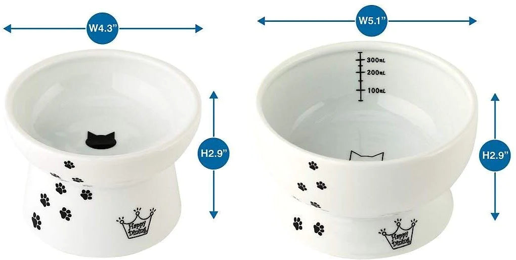 Ceramic Elevated Cat Food & Water Bowl Set