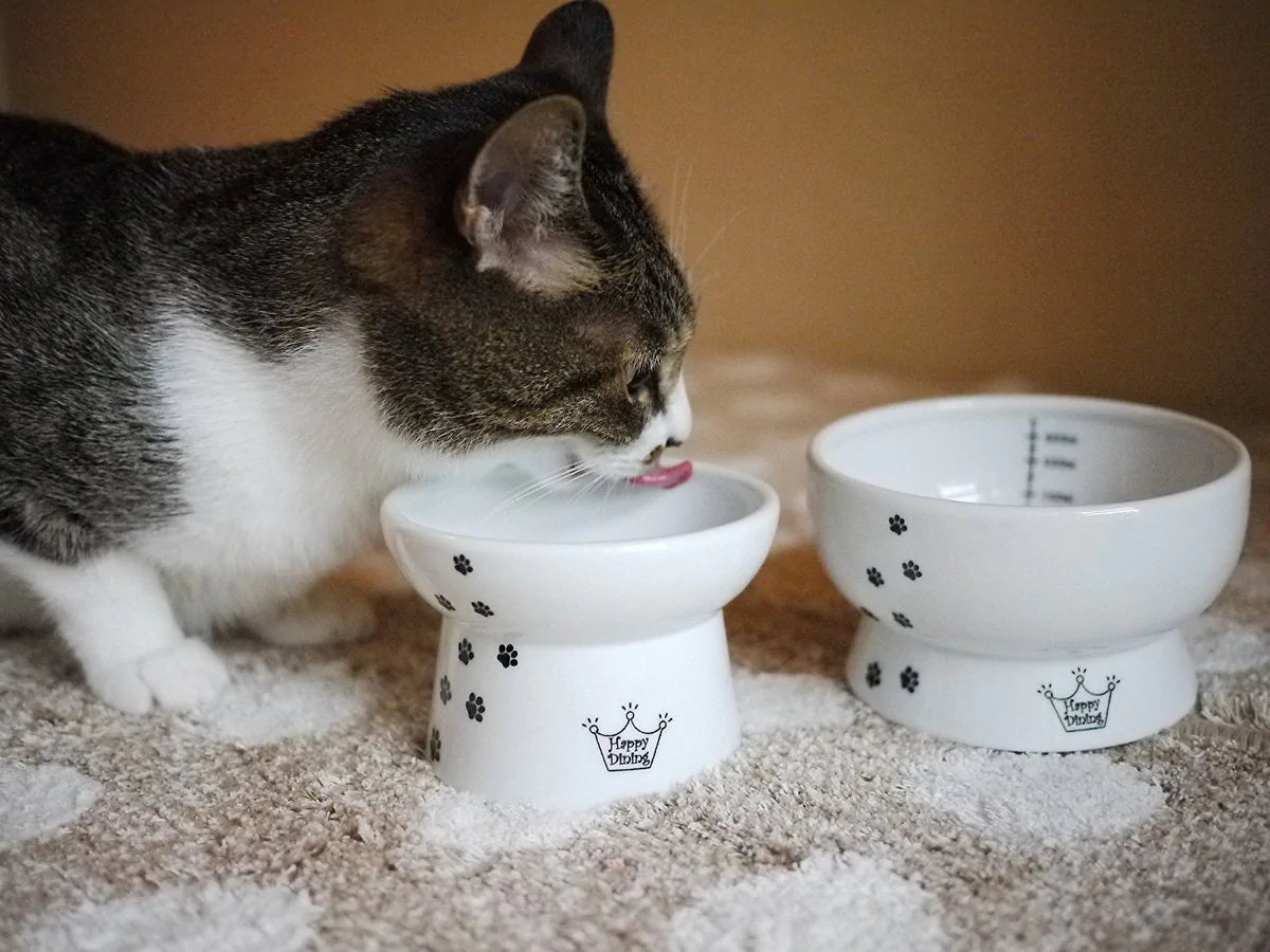 Ceramic Elevated Cat Food & Water Bowl Set