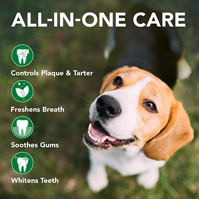 Vet’s Best Enzymatic Dog Toothpaste | Teeth Cleaning and Fresh Breath Dental Care Gel